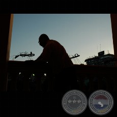 HORMIGAS, 2005 - Instalación-Intervención de CARLOS ALMEIDA